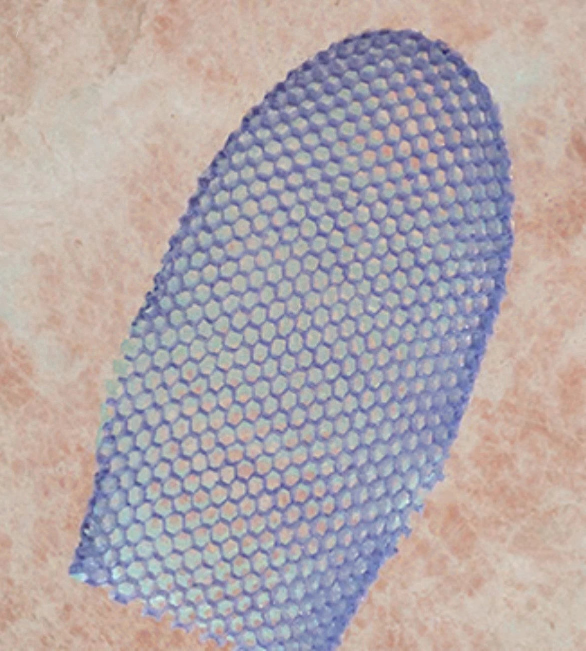Supracor Stimulite Honeycomb Dual-Sided Softer/Firmer Bath Mitt